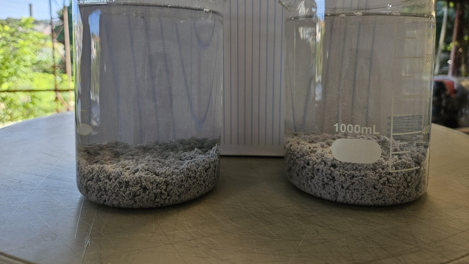 Béqueres de 1 litro com lodo sedimentado após coagulação e floculação Béqueres de 1 litro com lodo sedimentado após coagulação e floculação